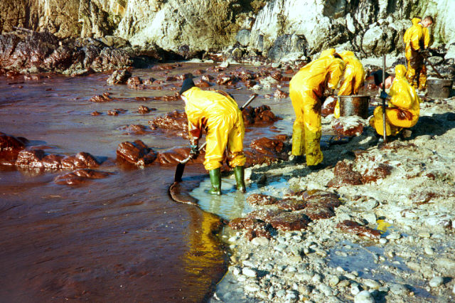 Einsatzkräfte reinigen die Küste von einer angeschwemmten Ölschicht