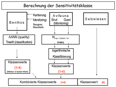 Schema der Berechung der Sensitivitätsklasse