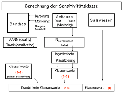 Schema Berechung Sensitivtätsklasse