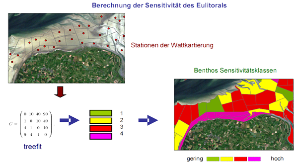 Schema Berechnung des Euliterals