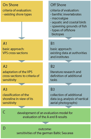 scheme of sensitivity mapping